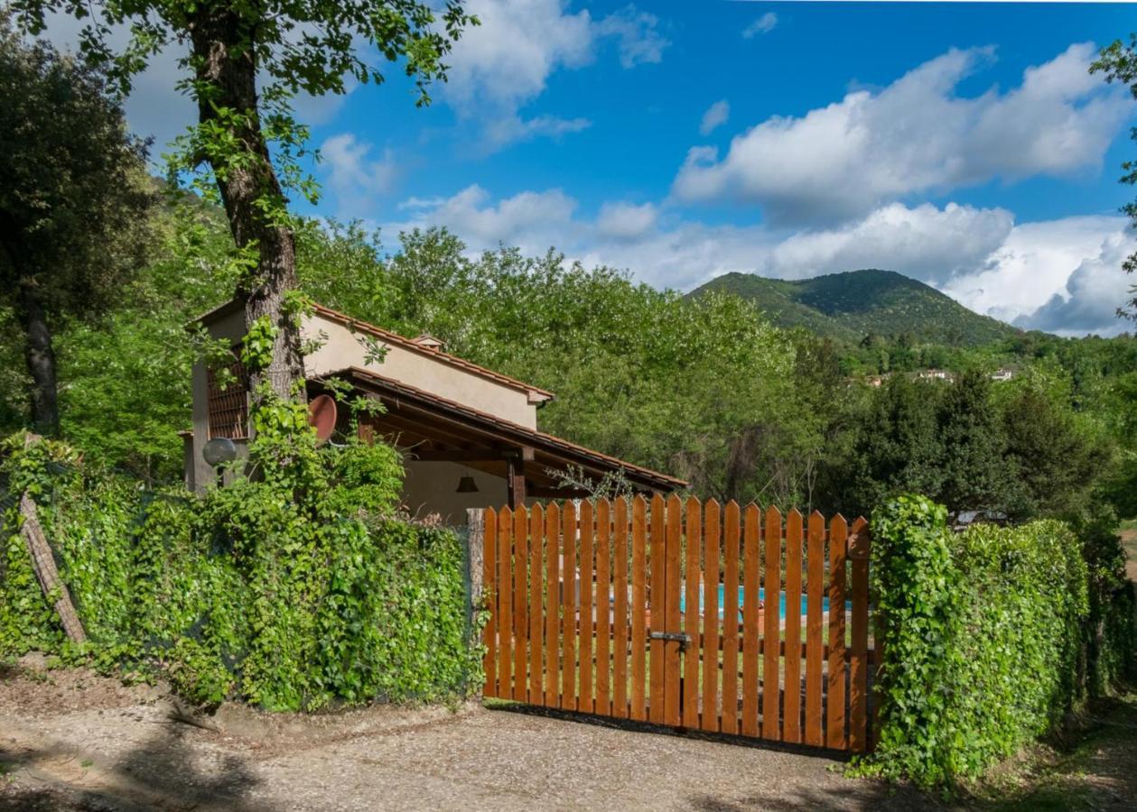 Villa Con Piscina Esclusiva Nel Verde Lucca Eksteriør bilde